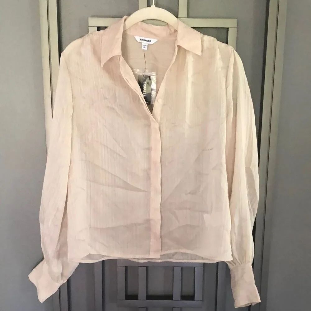 NWT Express Blush long sleeve, classic blouse, semi sheer XS